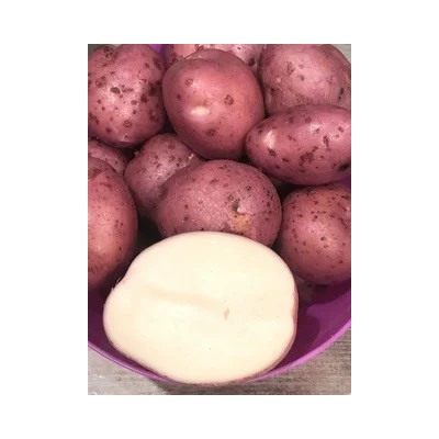 Картофель Фламинго, 5 кг, красный, средне-ранний, 75-85 дней