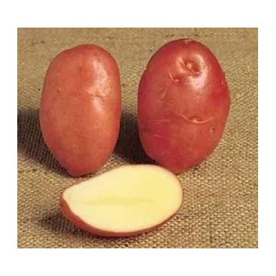Картофель Мемфис, 5 кг, красный, среднеспелый, 80-90 дней