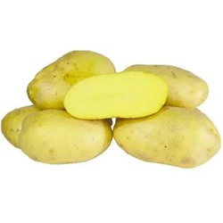 Картофель Бернина, 5 кг, желтый, среднеранний