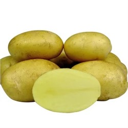 Картофель семенной "ДЖЕЛЛИ"сетка 5 кг (немец.)(желтый,среднеспел.столовый сорт,80 – 90 дней от всход