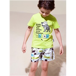 Плавательные шорты (Бордшорты) с принтом Disney для мальчика