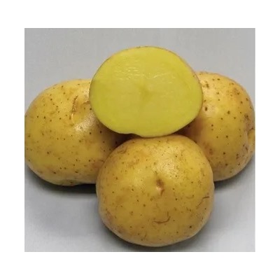 Картофель Коломбо, сетка, 5 кг, ранний 60-65 дней, желтая
