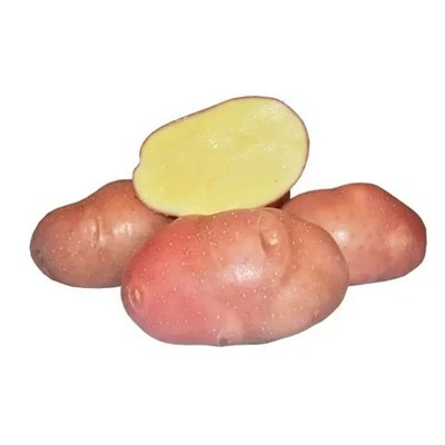 Картофель семенной "БЕЛЛАРОЗА" сетка 5кг.(ранний 60 – 70дней красная кожура мякоть светло-желтая)