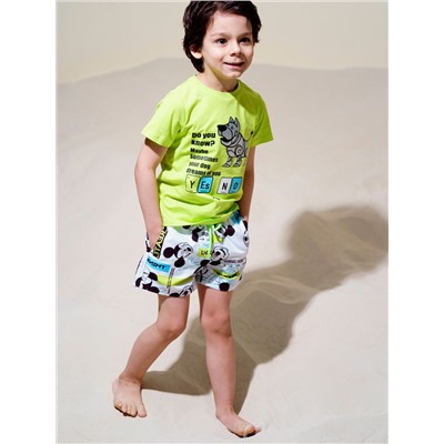 Плавательные шорты (Бордшорты) с принтом Disney для мальчика