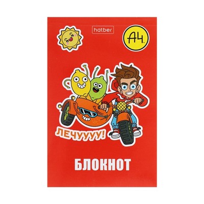 Блокнот А7, 48 листов, в клетку, на склейке, "Влад А4", обложка мелованная бумага, ламинация, трёхцветный блок, блок 60 г/м2, 5В МИКС (за 8 шт.)