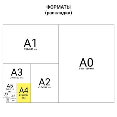 Папка для черчения А4, 24 листа, 200 г/м, BRAUBERG, без рамки, ватман ГОЗНАК КБФ