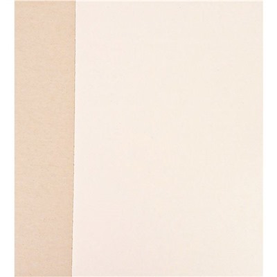 Картон белый немелованный А4, 8 л., 200 г/м2, на склейке, Profit Семейство панд