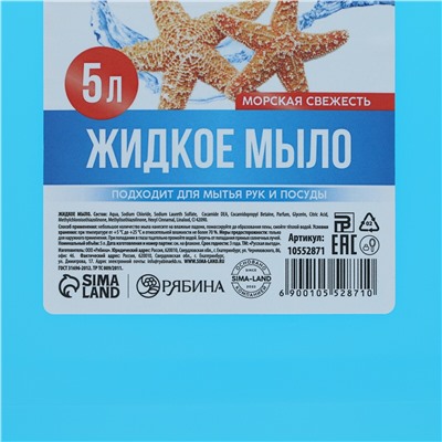 Мыло жидкое кухонное, 5 л (5000 мл), аромат морской свежести, русская выгода No brand