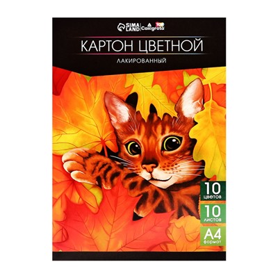 Картон цветн лакированный А4 10л 10цв одност 200г/м² Calligrata TOP,в папке