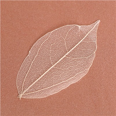Сухие листья, (набор 5 шт), размер 1 шт:: 8×5 см, цвет белый Школа талантов