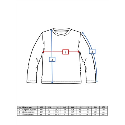 Фуфайка трикотажная для мальчиков (футболка с длинным рукавом)