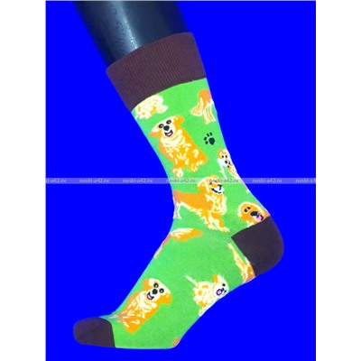 Nice Socks (AMIGOBS) ЦВЕТНЫЕ ВЫСОКИЕ НОСКИ на вешалке арт. 2208 фактически 37-43