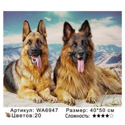 PH WA6947, 40х50 см