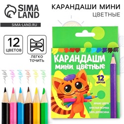 Цветные карандаши 12 цветов мини деревянные заточенные No brand