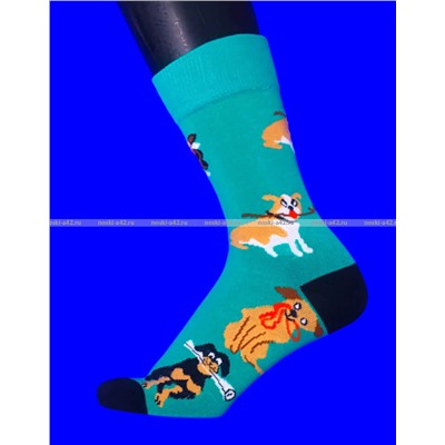 Nice Socks (AMIGOBS) ЦВЕТНЫЕ ВЫСОКИЕ НОСКИ на вешалке арт. 2208 фактически 37-43