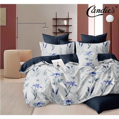 КПБ Candie's Cotton AB CANC070