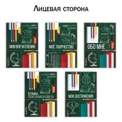 Папка школьная с креплением «Портфолио школьника», 10 листов-разделителей, 21,5 х 30 см.