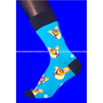 Nice Socks (AMIGOBS) ЦВЕТНЫЕ ВЫСОКИЕ НОСКИ на вешалке арт. 2208 фактически 37-43