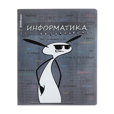 Тетрадь предметная ИНФОРМАТИКА, 48 листов в клетку, ErichKrause "Чубрик", пластиковая обложка, шелкография, блок офсет 100% белизна, инфо-блок (за 5 шт.)