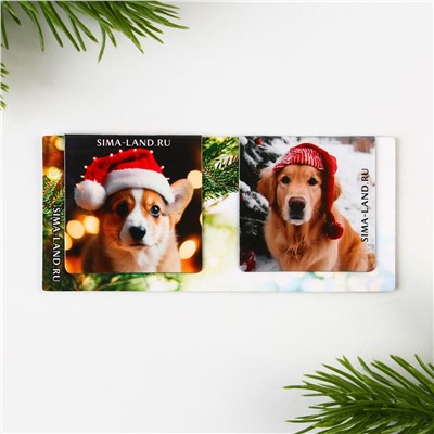 Новый год. закладки для книг магнитные 2 шт на подложке ArtFox