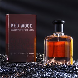 Туалетная вода мужская Colour ssncs Rd Wood, 100 мл (по мотивам 212 VIP Men (Carolina Herrera)