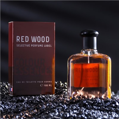 Туалетная вода мужская Colour ssncs Rd Wood, 100 мл (по мотивам 212 VIP Men (Carolina Herrera)