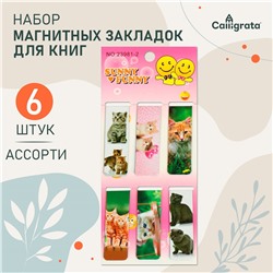 Набор закладок магнитных 6 штук Calligrata