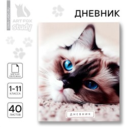 Дневник школьный 1-11 класс, в мягкой обложке, 40 л ArtFox STUDY