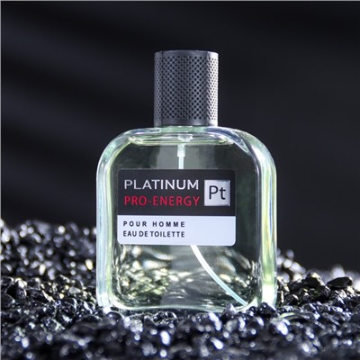 Туалетная вода мужская Pro-Energy Platinum, 100 мл (по мотивам Egoiste Platinum (Chanel)