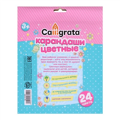 Карандаши 24 цвета Calligrata