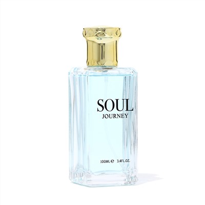 Туалетная вода мужская soul journey, 100 мл No brand