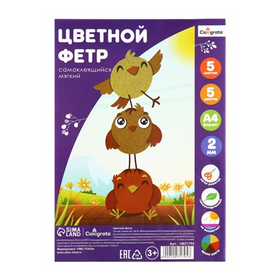 Набор цветного фетра, толщина-2 мм, формат А4, мягкий, 5 листов, 5 цветов, яркие цвета