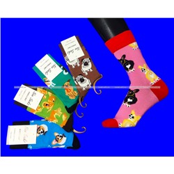 Nice Socks (AMIGOBS) ЦВЕТНЫЕ ВЫСОКИЕ НОСКИ на вешалке арт. 2208 фактически 37-43