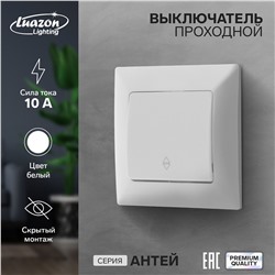 Выключатель проходной luazon lighting Luazon Lighting