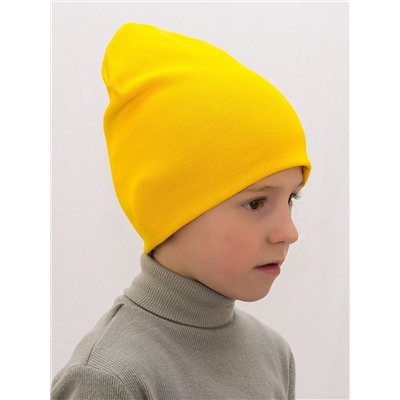 Шапка для мальчика (Цвет желтый), размер 48-50,  хлопок 95%