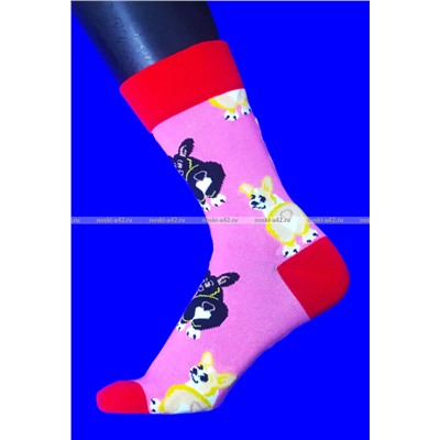 Nice Socks (AMIGOBS) ЦВЕТНЫЕ ВЫСОКИЕ НОСКИ на вешалке арт. 2208 фактически 37-43