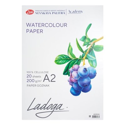 Бумага для Акварели в папке А2, ЗХК "Ладога", 20 листов, 200 г/м2, среднезернистая, 252781931