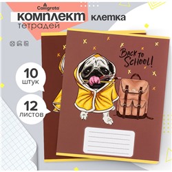 Комплект тетрадей из 10 штук, 12 листов в клетку calligrata Calligrata