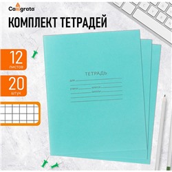 Комплект тетрадей из 20 штук, 12 листов в клетку КПК "Зелёная обложка", блок №2, белизна 75% (серые листы)