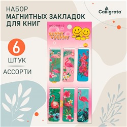 Набор закладок магнитных 6 штук Calligrata