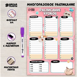 Расписание уроков Школа талантов