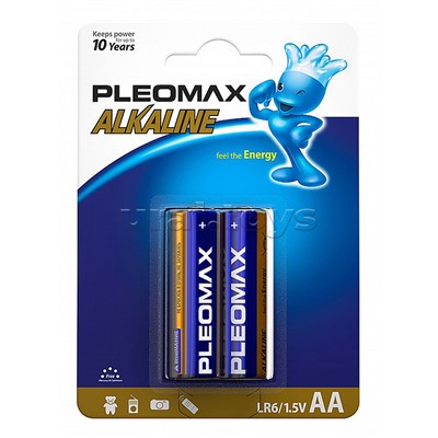 Батарейки солевые PLEOMAX LR6 BL2