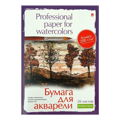 Бумага для акварели А5, 20 листов "Профессиональня серия", блок 200 г/м2, МИКС